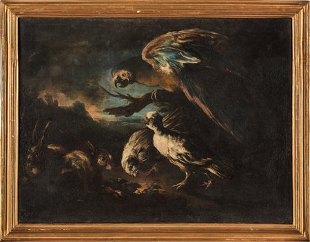 Giovanni Crivelli  ? Milano- 1760 Parma , detto il Crivellino, Paesaggio con pappagallo, volatili e una coppia di conigli