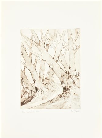 F. P. Giulio SENTIERI NEL BOSCO incisione su carta, battuta cm 27x20, su...