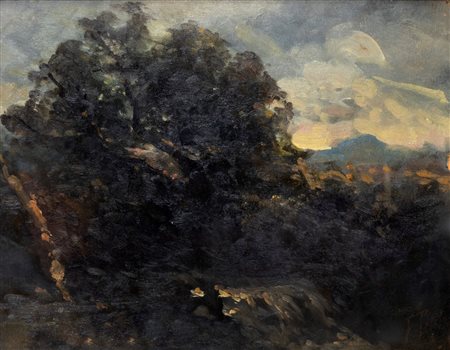 Filiberto Petiti (Torino 1845-Roma 1924)  - Alberi nel bosco