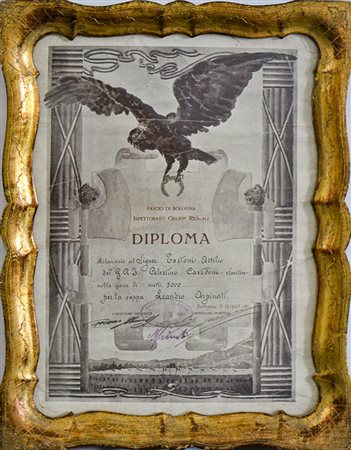 FASCIO DI BOLOGNA