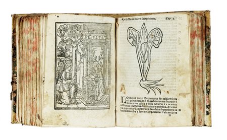 Arnaldo de Vilanova, Herbolario volgare, nel quale se dimostra a conoscer le herbe... (Al colophon:) Stampato in Venetia: per Giovanni Maria Palamides nevodo di Giovane Tacuino, 1539.