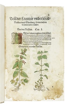 Bock Hieronymus, [Kreüter Buch.] [Strassburg: Josias Rihel, 1560.]