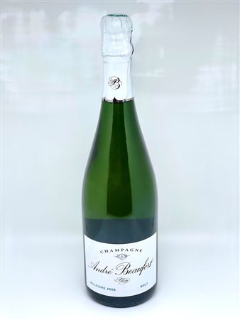  
André Beaufort, a Polisy Brut Millesime 2008 2008
 0,75