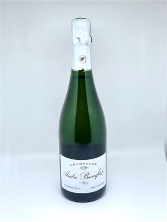  
André Beaufort, a Polisy Brut Millesime 2012 2012
 0,75