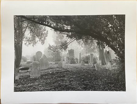 Gianni Berengo Gardin "Cimitero israelita a Venezia" 
fotografia in bianco e ner