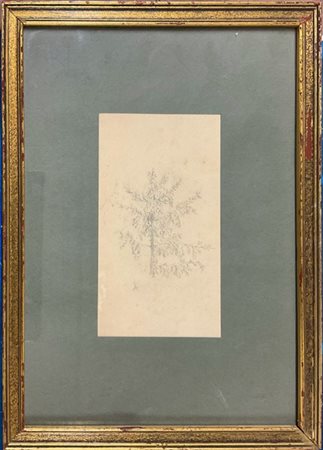 Pompeo Mariani (Attribuito)

"Albero" 
matita su carta (cm 16,5x9,5)
Monogrammat