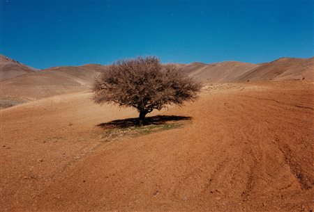 Abbas Kiarostami (1940-2016)  - Senza titolo, 2000