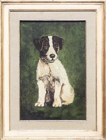 JACK RUSSEL olio su tavoletta, firmato, in cornice cm 34x23