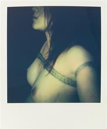 Nobuyoshi Araki, Polaroid