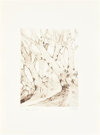 F. P. Giulio SENTIERI NEL BOSCO incisione su carta, battuta cm 27x20, su...