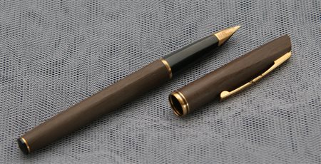 Waterman Supergold stilografica - marrone