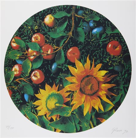 GILARDI PIERO (1942 - 2023) - Girasole.