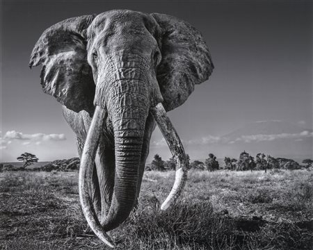 David Yarrow, Space for giants. 2020.