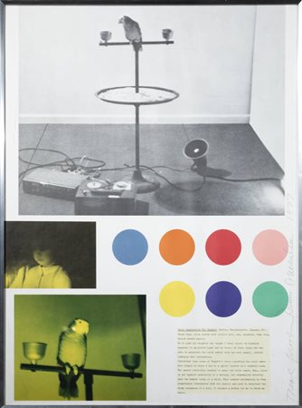 DENNIS OPPENHEIM<BR>Washington (USA) 1938<BR>"Color application for Chandra" 1977