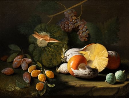 Marco Antonio Rizzi (Pralboino 1648-Piacenza 1723) Natura morta di funghi,...