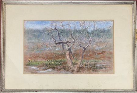 Natale Addamiano "Albero nelle Murgie" 
pastelli a cera su carta
cm 31x49
firmat