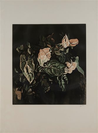 Renato Guttuso (Bagheria 1911-Roma 1987)  - Anthurium