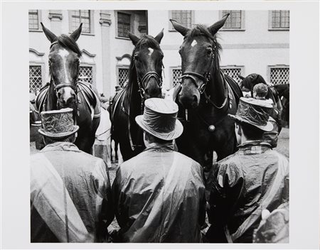 Gianni Berengo Gardin (Santa Margherita Ligure , 1930) Weingarten 2006...