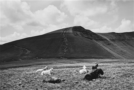 John Davies (1946)  - Horses, Brecon Beacons, 1996