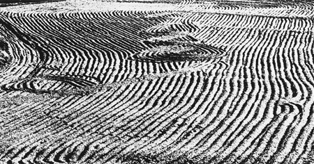 Mario Giacomelli (1925-2000)  - Presa di coscienza sulla natura, 1975/1985