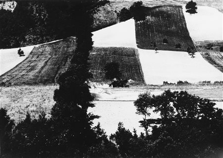 Mario Giacomelli (1925-2000)  - Presa di coscienza sulla natura, 1975/1985