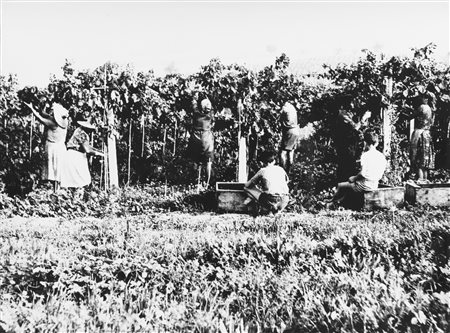 Mario Giacomelli (1925-2000)  - La buona terra, 1964/1966