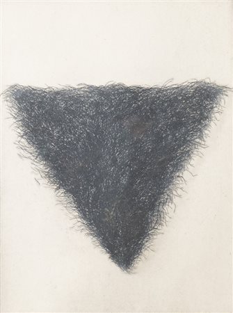 JIM DINE (Cincinnati 1935) "Four kind of Pubic Hair", 1971. Cm 58x40....