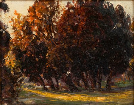 Max Roeder (Monaco 1866-Roma 1947)  - Parco in autunno