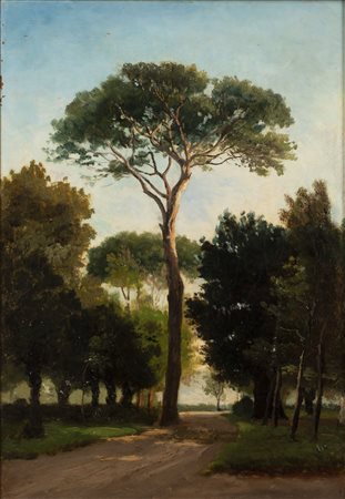 Giuseppe Haimann (Milano 1828-Alessandria d'Egitto 1883)  - Giardino Botanico al Cairo