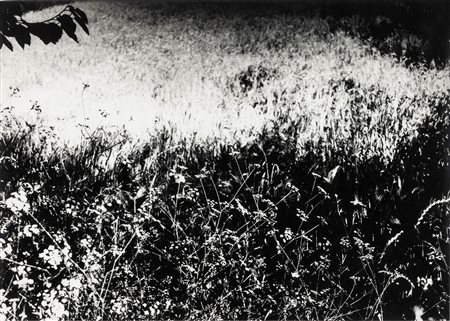 Mario Giacomelli 1925-2000 Senza titolo, 1975/1985 stampa alla gelatina ai...