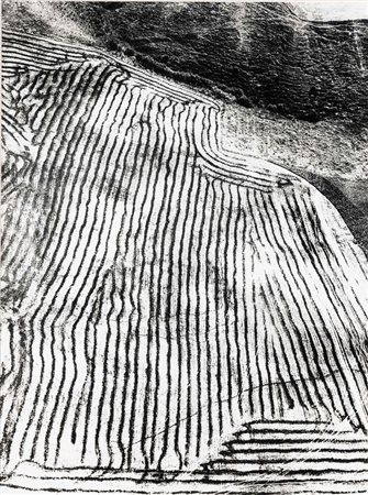 Mario Giacomelli 1925-2000 Presa di coscienza sulla natura, 1975/1985 stampa...