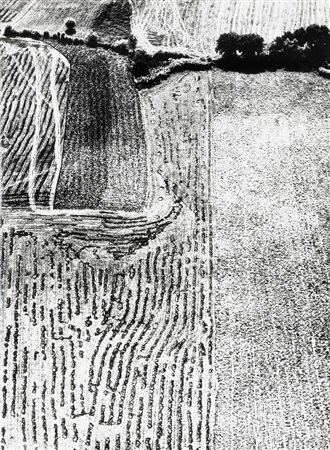 Mario Giacomelli 1925-2000 Presa di coscienza sulla natura, 1975/1985 stampa...