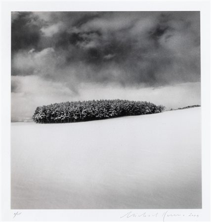 Michael Kenna 1953 White Copse, Study 2 Wakkanai, Hokkaido, Japan, 2004...