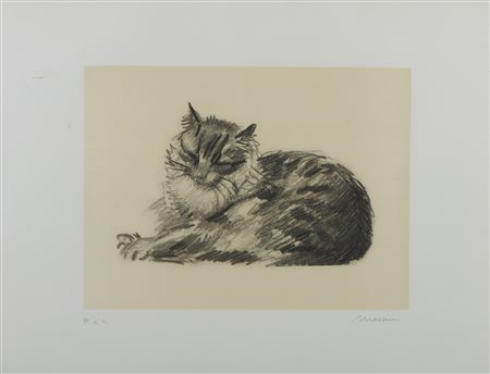 MESSINA FRANCESCO (1900 - 1995) - Gatto.