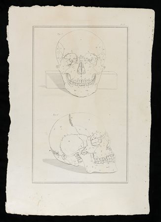  
Due teste a grandezza naturale da ""Traité d'ostéologie... Par M. Sue" A Paris: Chez Guillaume Cavelier ... 1759.
 