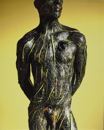 Robert Gligorov VEGETO VEGETALIS, 1999 stampa su alluminio, cm 30x24,5; es....