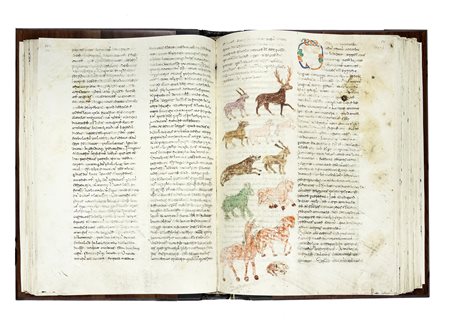 Hrabanus Maurus, De Rerum Naturis. Ms. Cod. Casin. 132. Scarmagno: Priuli &...