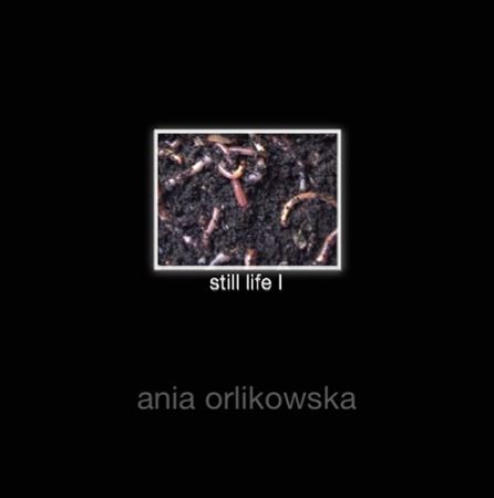 ANNA ORLIKOWSKA(1979)Still life 8 - wormsfilm IVideo CD, durata di circa 14...