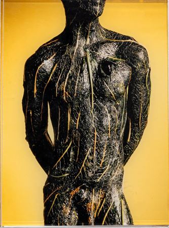 ROBERT GLIGOROV(1960)Vegeto Vegetalis1998Stampa fotografica entro plexiglass,...