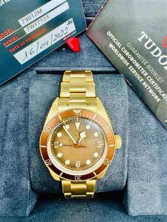 TUDOR BLACK BAY