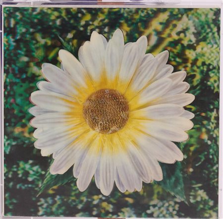 Andy Warhol (Pittsburg 1928-New York 1987) Lenticular Daisy, 1970-71 Foto...