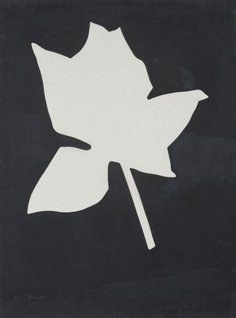 KOUNELLIS JANNIS (n. 1936) - SENZA TITOLO (FIORE BIANCO).