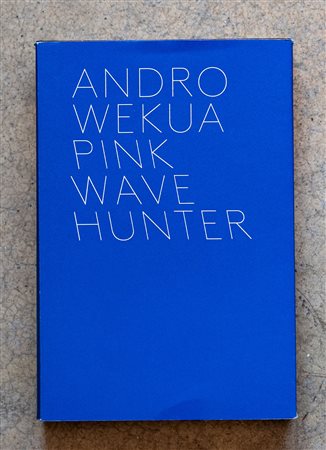 Pink Wave Hunter (Vol. 1 - 3)