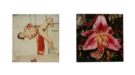 Nobuyoshi Araki (1940)  - Senza titolo (Bondage e Fiore), 1990s