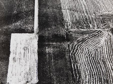 Mario Giacomelli (1925-2000)  - Presa di coscienza sulla natura, 1975/1985