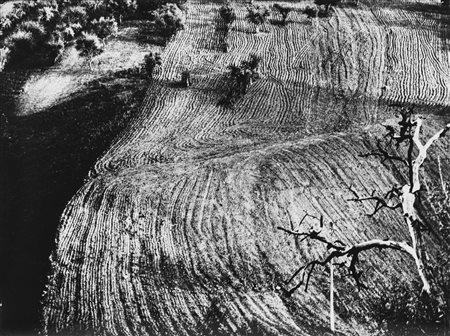 Mario Giacomelli (1925-2000)  - Presa di coscienza sulla natura, 1975/1985