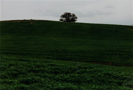 Abbas Kiarostami (1940-2016)  - Senza titolo, 2000