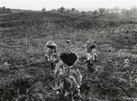 George Tatge (1951)  - Girasoli, 1978