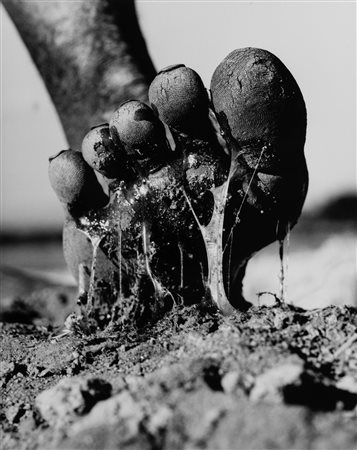 Gian Paolo Barbieri (1938) - La Fabbrica del Sisal, Madagascar, 1994