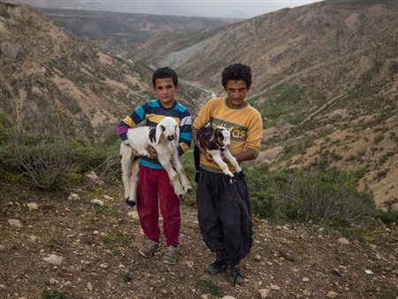 TAVAKOLIAN NEWSHA Iran (Iran) 1983 Portrait of E-mail and his Brother...